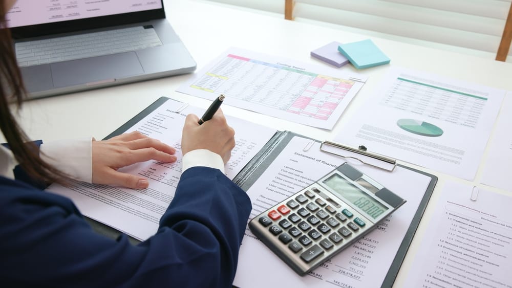 Internal Tax audit review checking ESG data risk in balance sheet prepare annual report. Income growth Cash flow budget work number control wealth for trader system merger study.